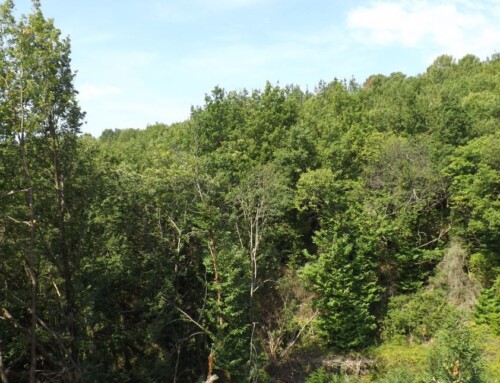 Gite les bouches rouges 6 personnes