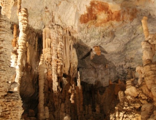 La Magnanerie – Gîte Mme Maurizot Marie-Hélène