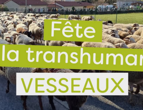 Fête de la transhumance