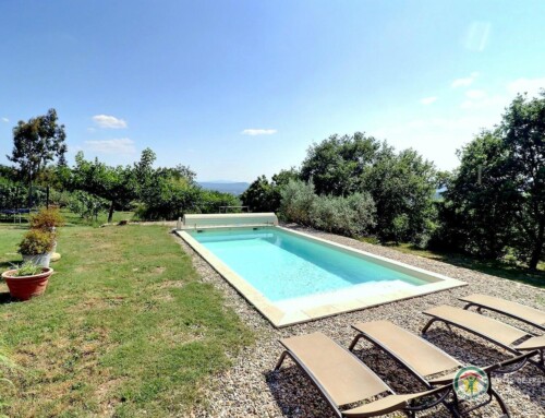 Le Champ des Oiseaux