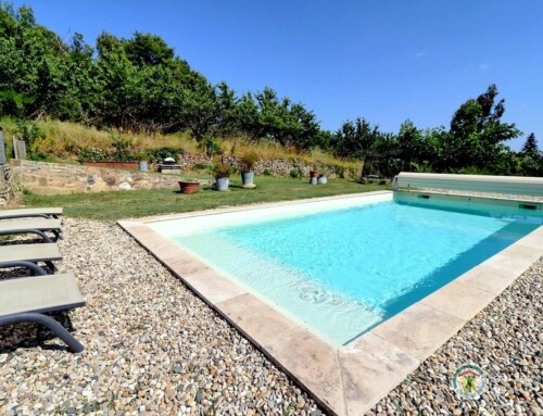 Le Champ des Oiseaux