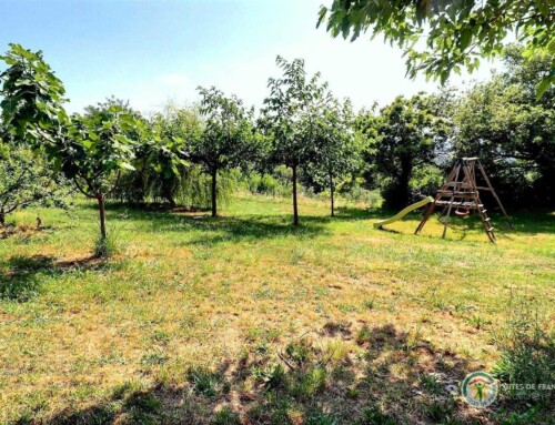 Le Champ des Oiseaux