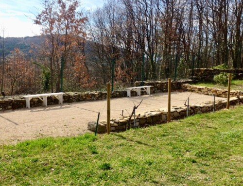 Les Cerisiers – Chambre d&rsquo;hôtes