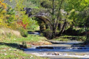 Pont sur le Liopoux